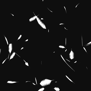 【背景透過】舞い散る羽エフェクト【動画素材・エフェクト】