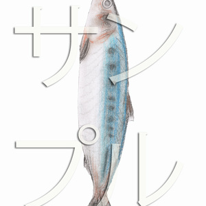 魚セット