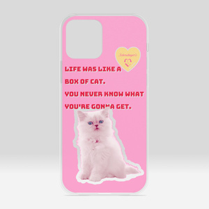 iPhone12 / 12 Proケース/Schrodinger's Cat Box
