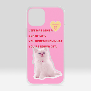 iPhone12 ProMaxケース/Schrodinger's Cat Box