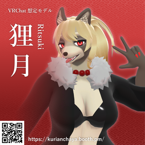 VRChat想定モデル - 狸月 [Ritsuki]