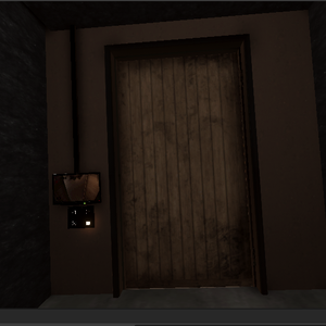 Secret Bookshelf Door with Cameras and Lock