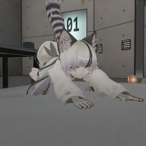 猫ののびーのポーズ