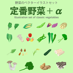 野菜セット - 定番野菜編プラス全20種 - 定番野菜+α編