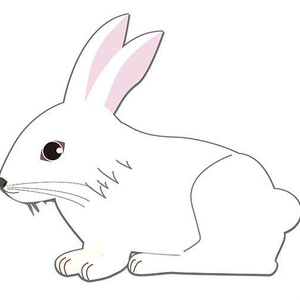 シンプルなうさぎのイラスト背景透過画像(png)高解像度