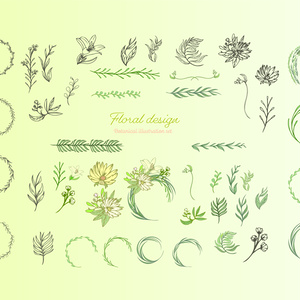 植物・草・花の装飾素材全45種以上(ビンテージ・レトロデザインにも) - 高解像度png or ai(ベクターcs2)