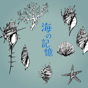 手書きの貝殻イラスト - 海の記憶のベクター or 高解像度PNG素材集