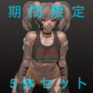 期間限定(5月末まで)nomadsculpt生データ5セット