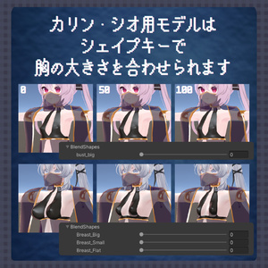 【ナユ・カリン・シオ用】シンプルな踊り子【シェイプキーあり】 缩略图 6