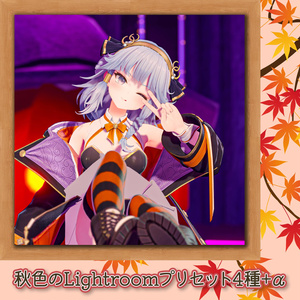 【50%OFF】秋色のLightroomプリセット4種＋3Dカメラフィルム付き【VRChat想定】