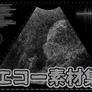 エコー素材集