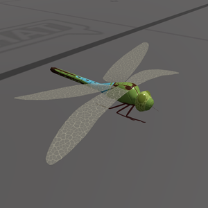 Dragonflies
