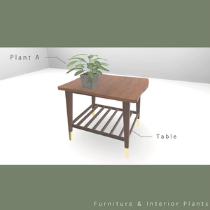 家具＆観葉植物＃001　Furniture & Interior Plants＃001 缩略图 2