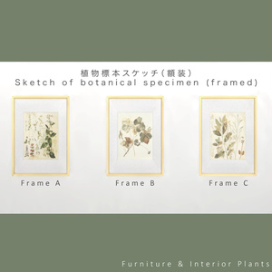 家具＆観葉植物＃001　Furniture & Interior Plants＃001 缩略图 5