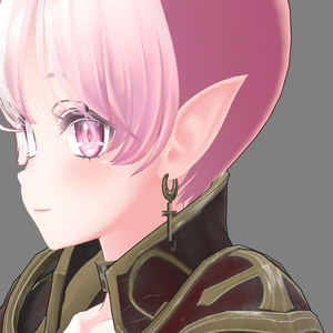 【セレスティア用】Selestia Outfit - Elf Sword Master 缩略图 2