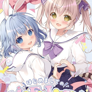 艦隊これくしょん 響 抱き枕カバー みけおう PINK CHUCHU 開封品