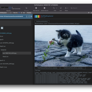 fmFileExplorer FileMaker上でディレクトリを表示
