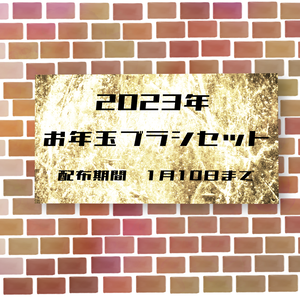 2023年お年玉ブラシ🎁期間限定