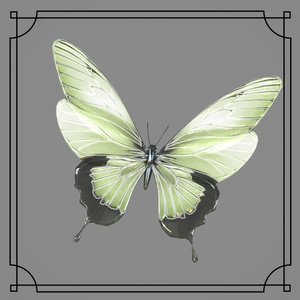 (VRChat用) 8色バタフライ- 8 Colour Flying Butterfly 缩略图 3