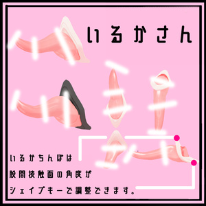 N式けもちんぽ　お馬さん＆豚さん＆いるかさん 缩略图 5