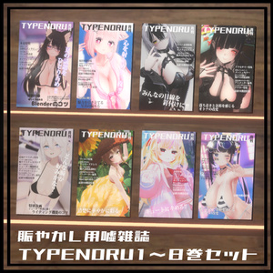 月刊TYPENORU1号~8号(賑やかし用小物)