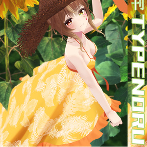 月刊TYPENORU1号~8号(賑やかし用小物) 缩略图 8