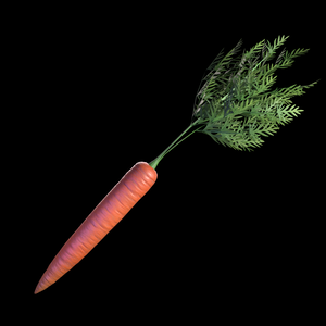VRC Carrot with Physbones