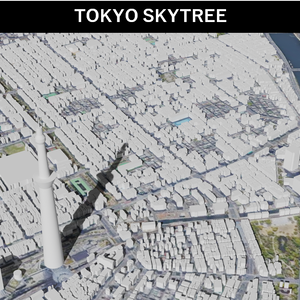 Tokyo Skytree MAP スカイツリー周辺の広域3Dモデル | 3D Model