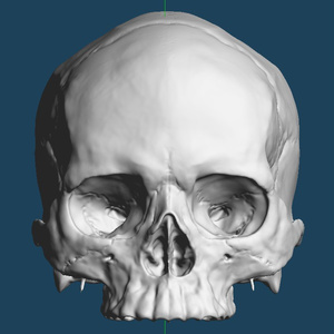 skull head