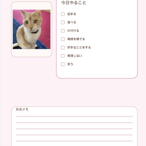 ハク様のTODOリスト｜やることチェックリスト PDF