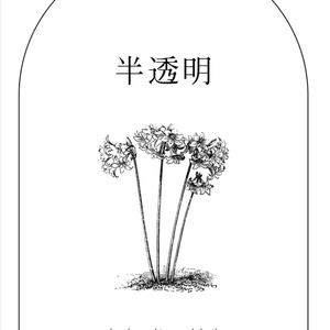 반투명