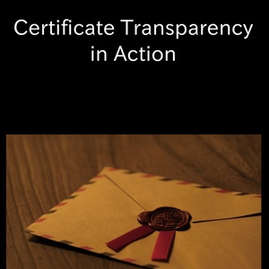 Certificate Transparency in Action