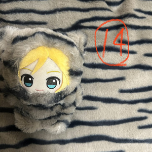 書生さん(10cm・12cm・ちびぐるみ・にじぱぺっと・ちみけもますこっと