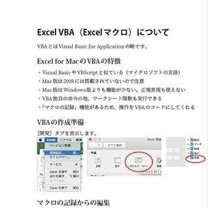 JavaScriptユーザーのためのExcelマクロ(VBA)入門(Excel 2016 for Mac対応)