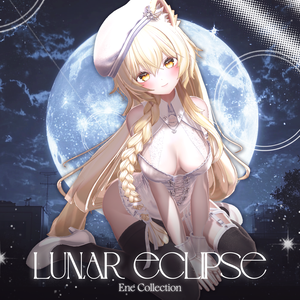  Lunar Eclipse 