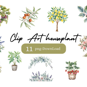 houseplant Clip Art