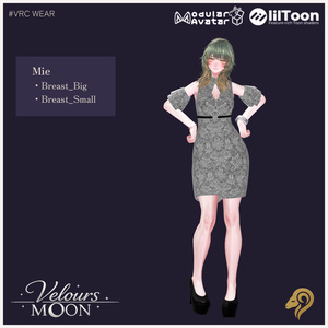 【11アバター対応】Velours Moon #hiiiilash 缩略图 6