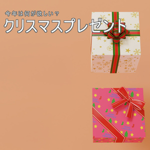 クリスマスプレゼント　3Dモデル