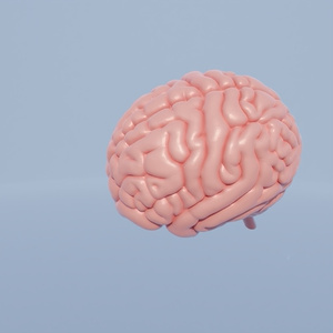 脳　3Dモデル 缩略图 3
