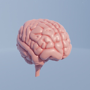 脳　3Dモデル 缩略图 4