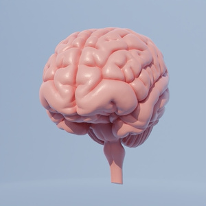 脳　3Dモデル 缩略图 5