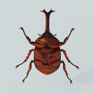 カブトムシ　3Dモデル 缩略图 5
