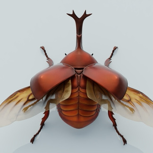 カブトムシ　3Dモデル 缩略图 3