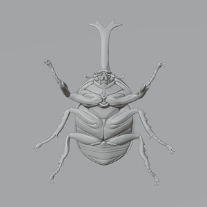 カブトムシ　3Dモデル 缩略图 6