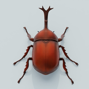カブトムシ　3Dモデル 缩略图 2