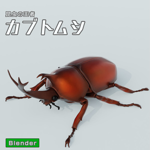 カブトムシ　3Dモデル