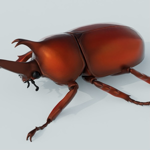 カブトムシ　3Dモデル 缩略图 4