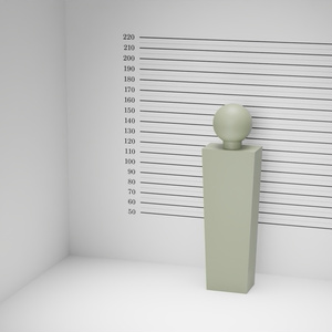 マグショット　3Dモデル 缩略图 5