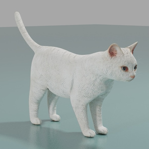 猫（白）　イメージテクスチャー 缩略图 2