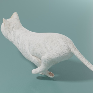 猫（白）　イメージテクスチャー 缩略图 5